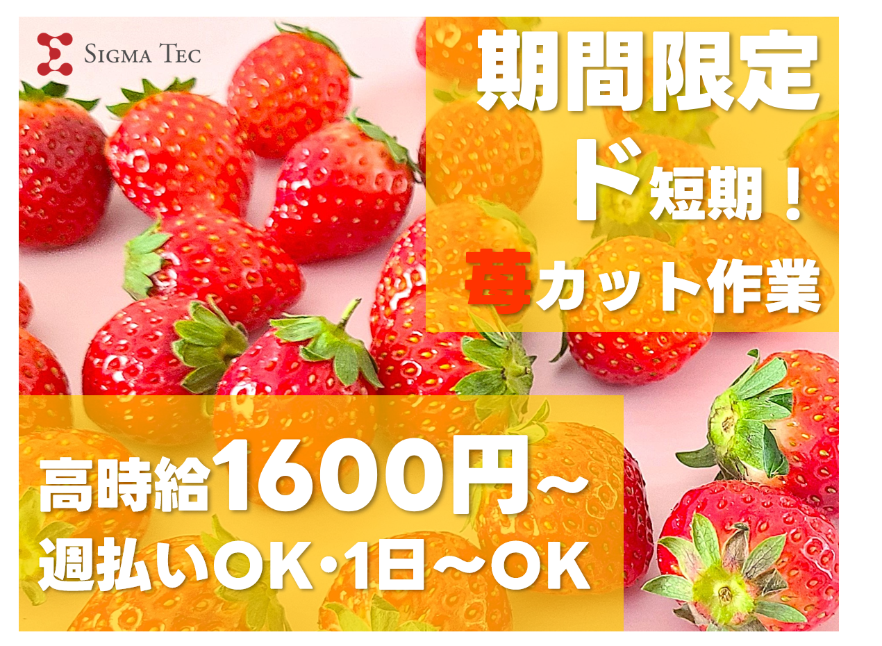 株式会社シグマテック