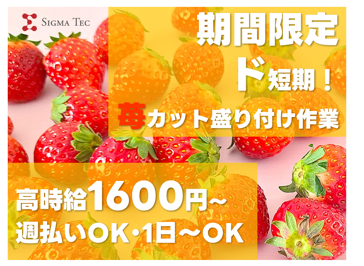 株式会社シグマテック