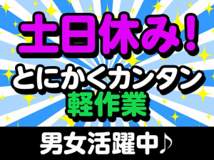 土日休み、日勤のお仕事です。