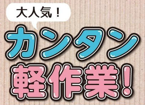 「座り仕事」カンタン！お薬の目視検査／日勤・土日祝休み