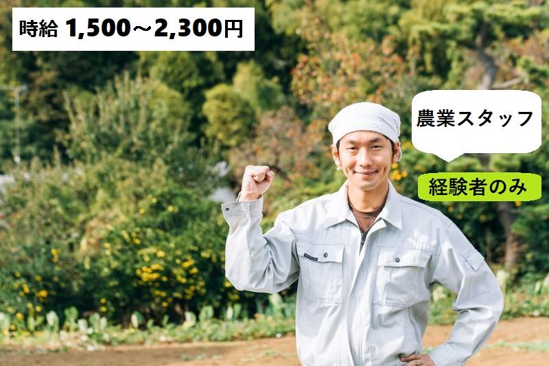 【うるま市】農園スタッフ(農業経験者のみ)