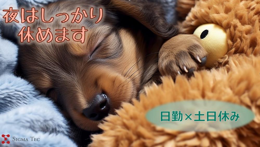 残業なし+土日祝休み/お菓子の包装工場で軽作業(検品・計量)