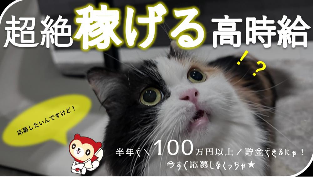 Wi-Fi付き1R寮完備!自動車製造/機械操作/組付け・検査
