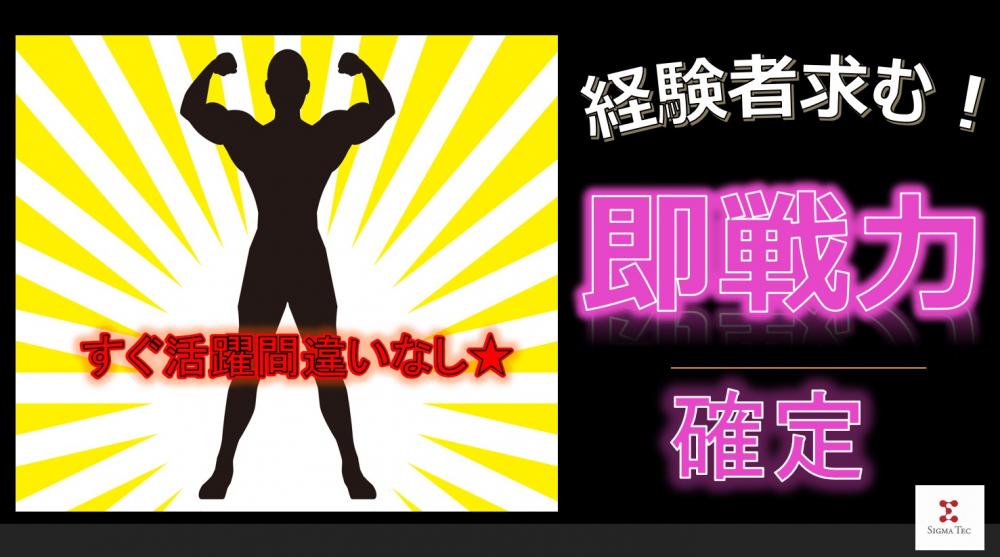 日勤×土日休み システム開発/エンジニア/大手建機メーカー