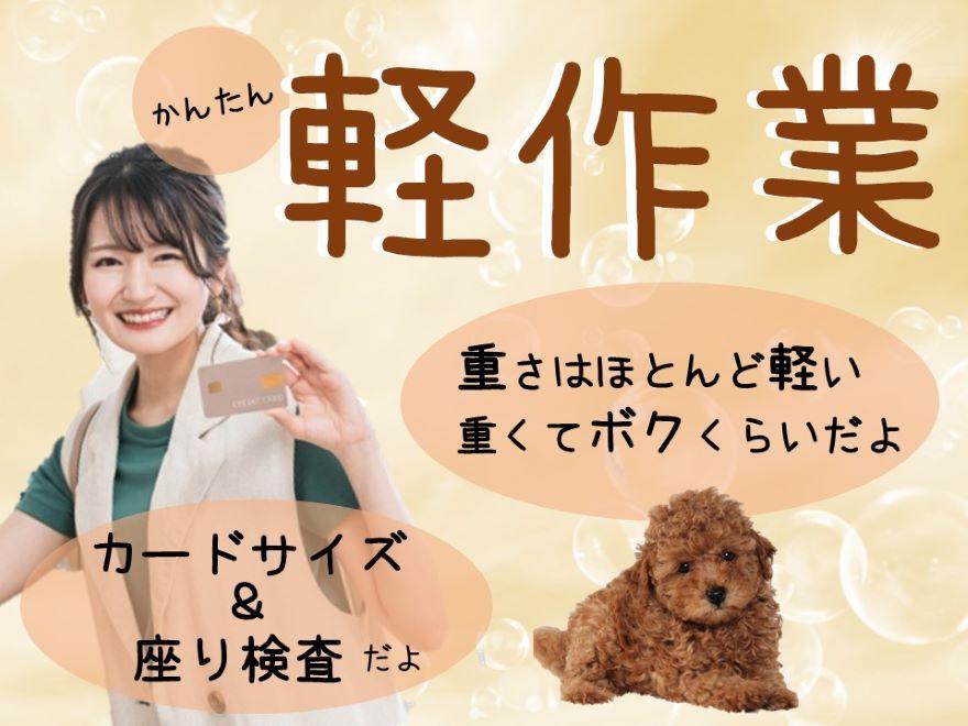 座り仕事/電子部品の検査・仕分けの軽作業/未経験OK