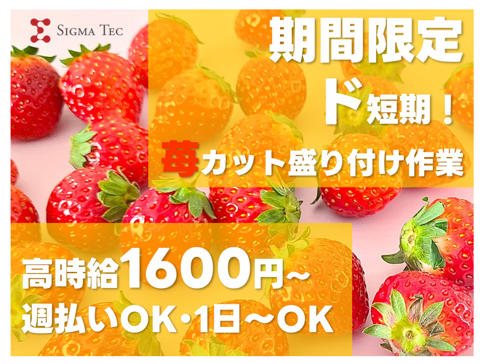 単発OK!ケーキ用いちごのカットお手伝い/6~15時