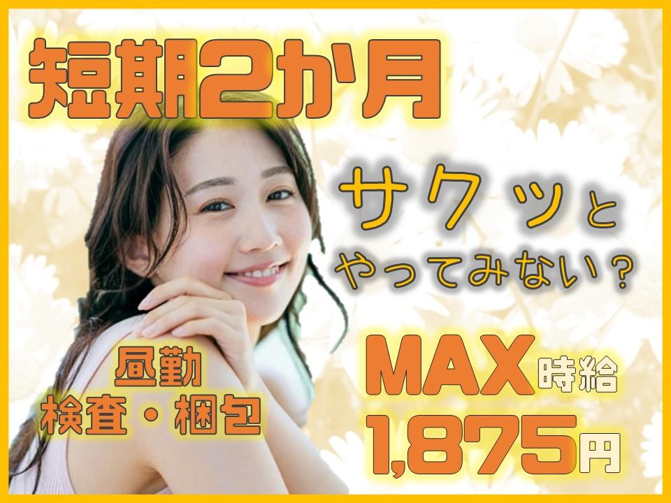 座り作業もあり／医療機器の製造から梱包までの作業スタッフ