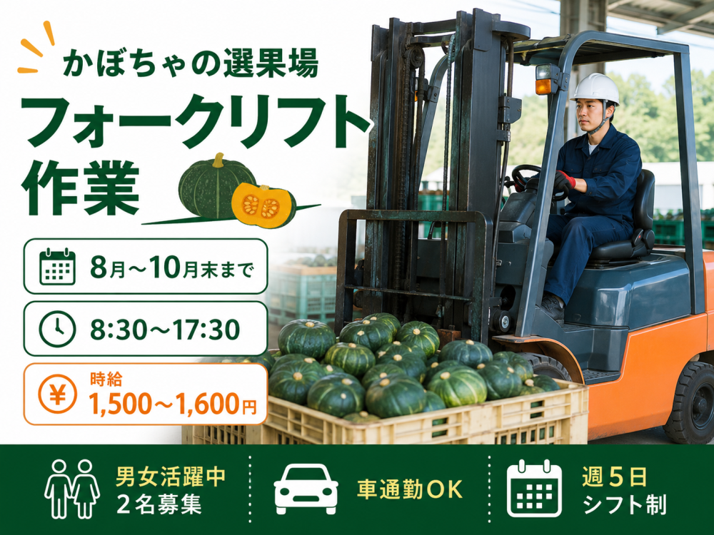 かぼちゃ選果場でのフォークリフト作業【短期】