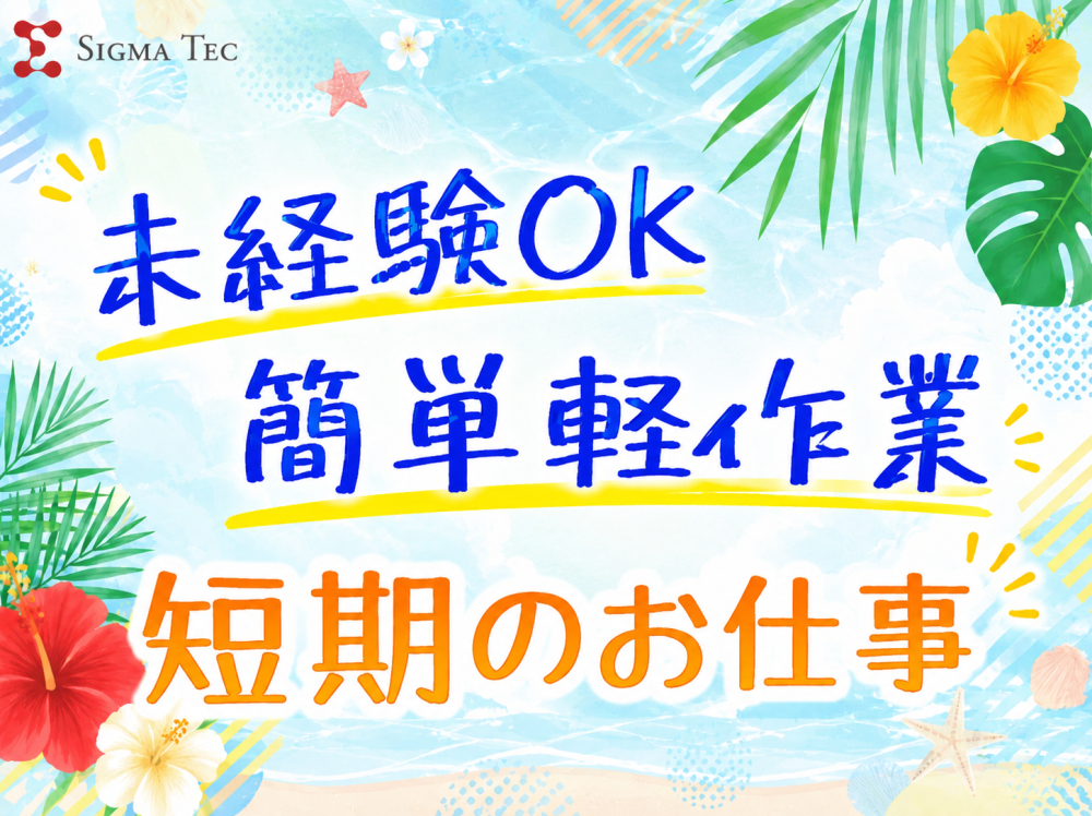 紙製品ケースの検査検品/目視チェック