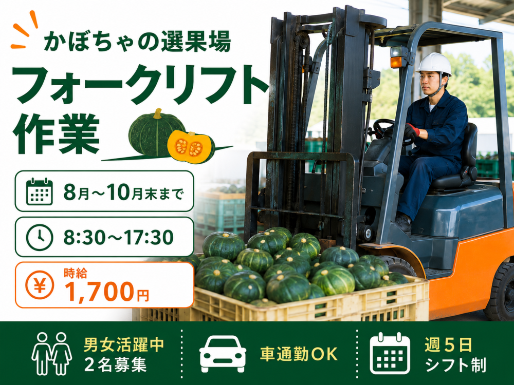 かぼちゃ選果場でのフォークリフト作業【短期】