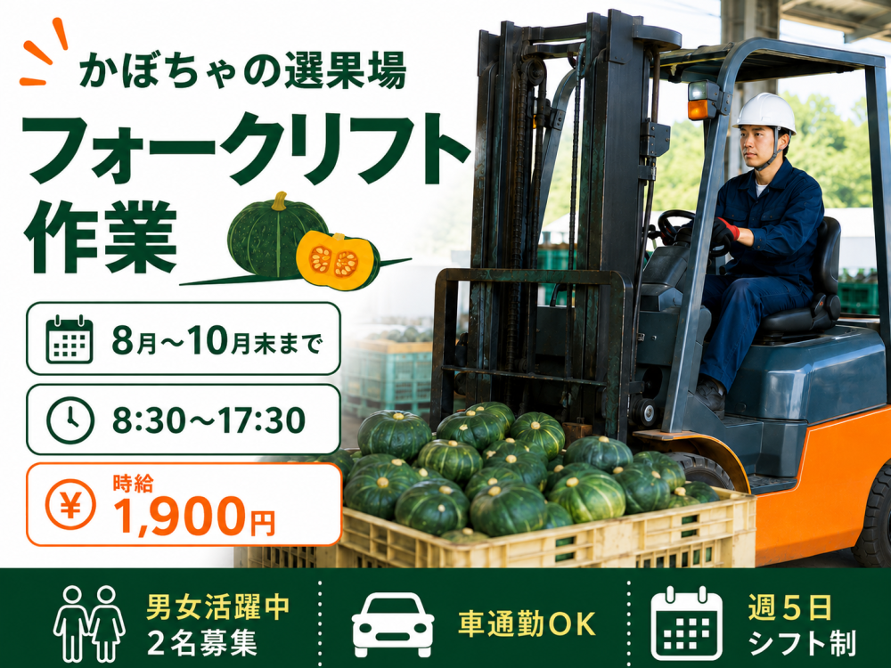 かぼちゃ選果場でのフォークリフト作業【短期】