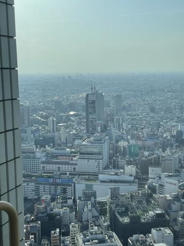 東京都心の景色が一望できます